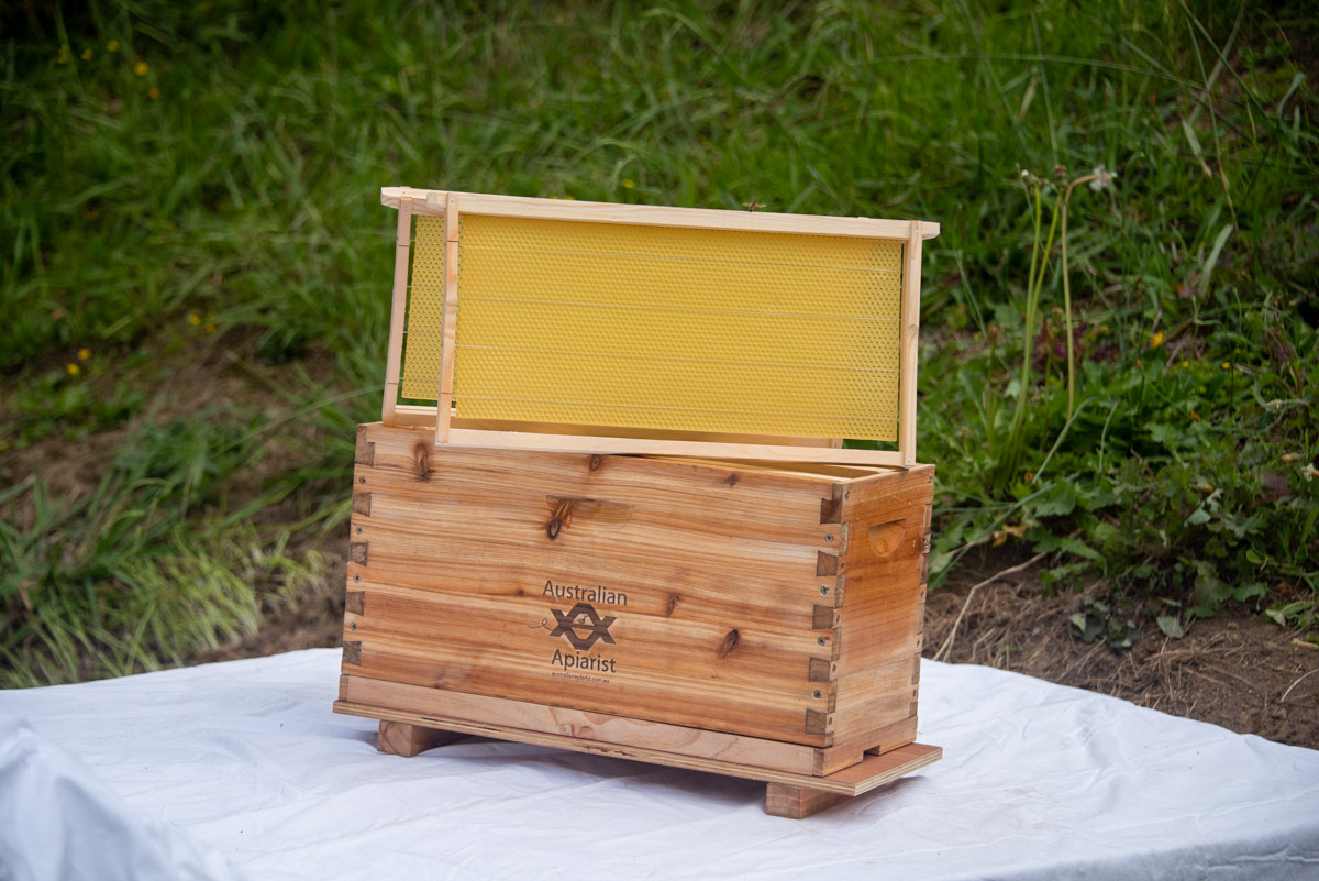 Bee-01--19__53495