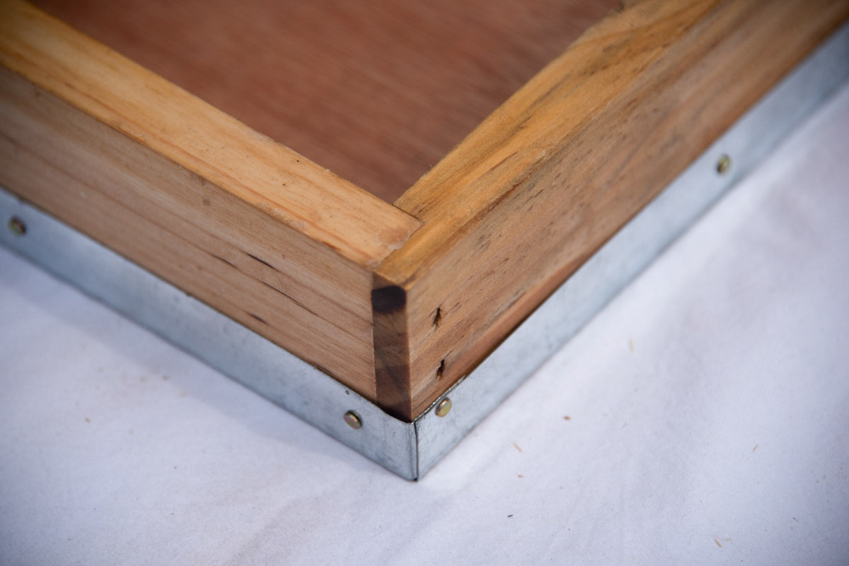 Bee-01--23__34804