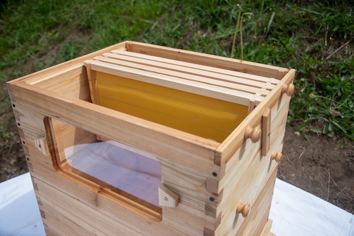 Bee-01--54__44099