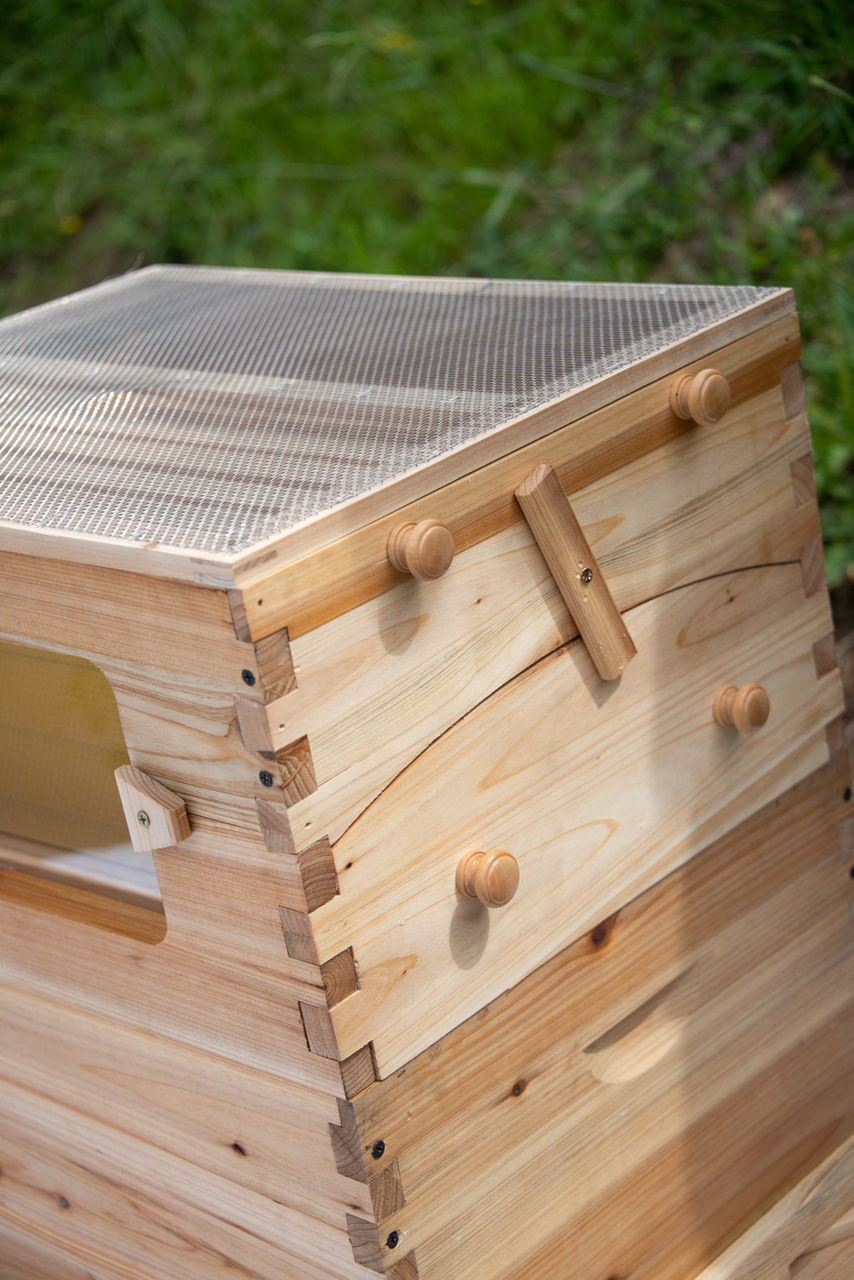 Bee-01--56__63302