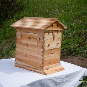 Beehive with viewable window UNASSEMBLED - 10 Frame