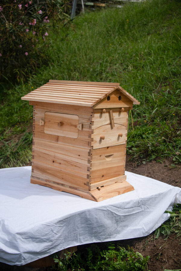 Beehive with viewable window UNASSEMBLED - 10 Frame