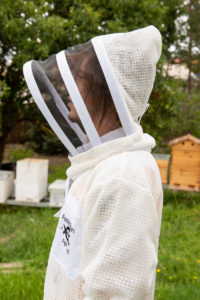 Bee-01--67__21427
