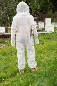 Bee-01--77__29989