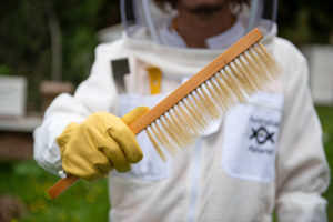 Bee-01--84__58542