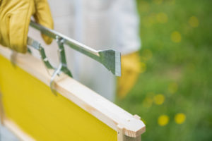 Bee-01--98__63860