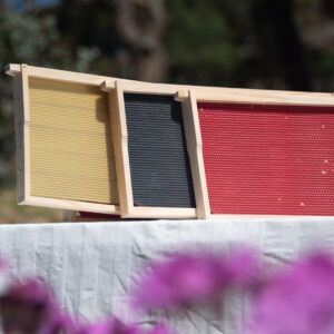 Beehive - 10 frame | 2 Brood/Super Boxes UNASSEMBLED (Wax Dipped)