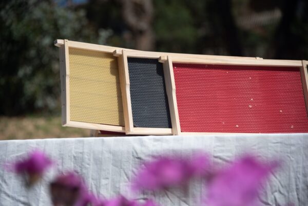 Beehive - 10 frame | 2 Brood/Super Boxes UNASSEMBLED (Wax Dipped)