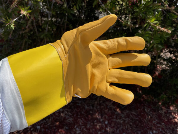 Gloves - 4