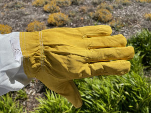 Gloves-Regular_-_2__87852