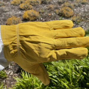 Gloves-Regular_-_2__87852