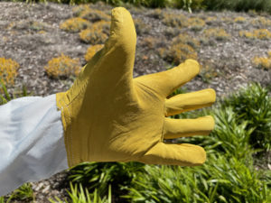 Gloves-Regular_-_3__88810