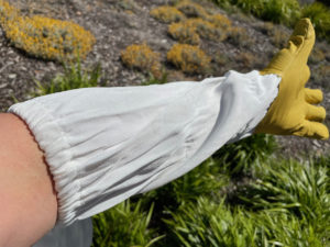 Gloves-Regular_-_4__38046