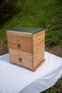 Bee-01--13__89891