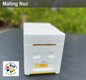 Mating_Nuc_1__94607