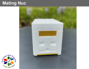 Mating_Nuc_1_copy_2__05543