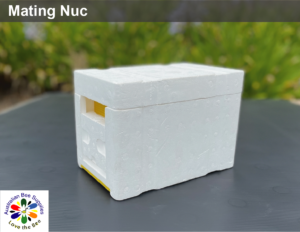 Mating_Nuc_1_copy_3__75091