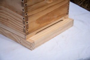 Bee-01--45__20312
