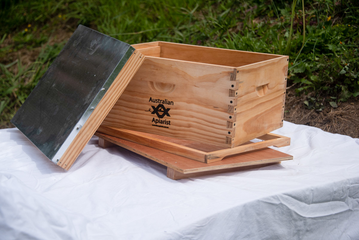 Bee-01--14__47596