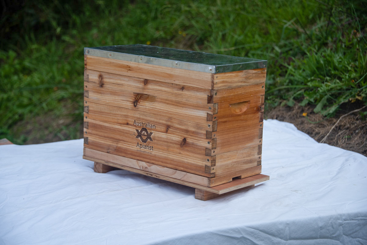 Bee-01--17__16671