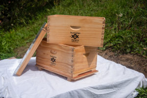 Beehive - 10 frame | 1 Brood Box UNASSEMBLED (Wax Dipped)