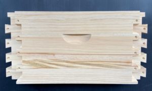 Lid-hive_-_33__63592