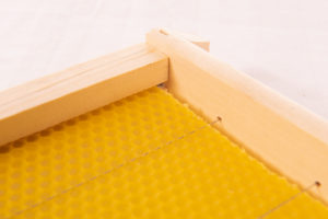 Bee-01--308__76103