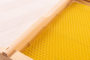 Bee-01--309__59734