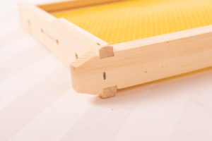 Bee-01--310__68169