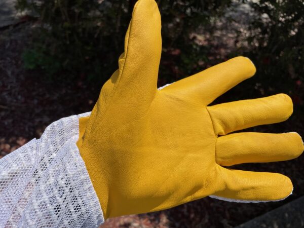 Gloves - 6