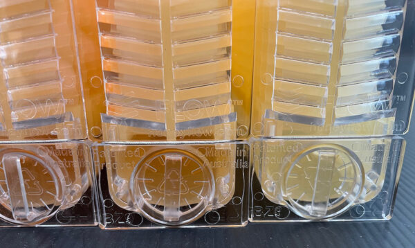 Frame Auto Hive - Box of 7 for 10 Frame Hive