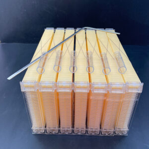Flow Hive Frame - Box of 7 for 10 Frame Hive