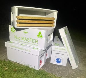 NucMaster - 1