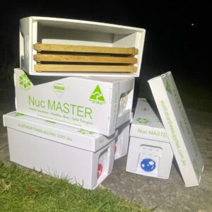 NucMaster - 1