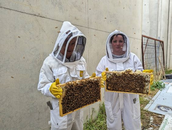8-Frame Wax-Dipped Beehive Starter Kit - Complete Package! - Image 9
