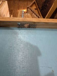 bee supplies, insulation, winter, lid insulation, heat management