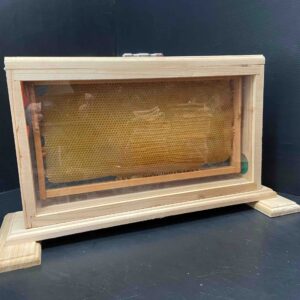 Observation Education Beehive - Single frame