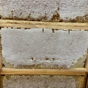 Honeycomb with Honey | Frame