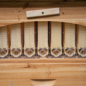 Auto-hive-frames - 1