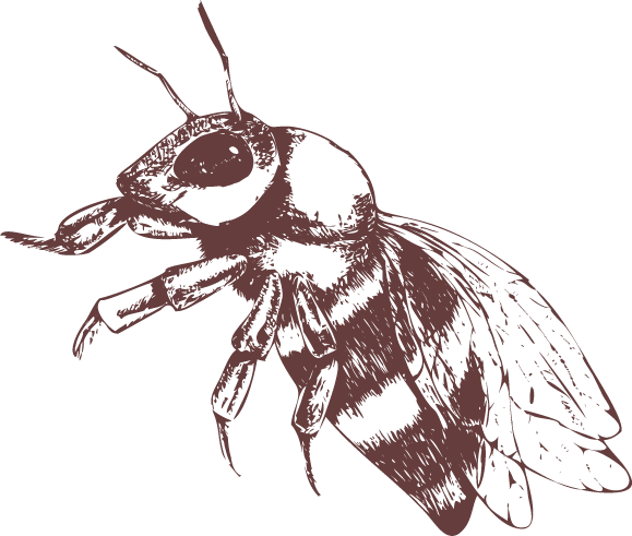 abs-decoration-honey-bee