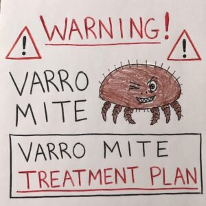 Varroa management workshop