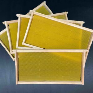 Frames x10 wire, assembled, foundation embedded STD