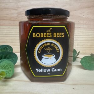 Honey | Yellow Gum