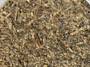 Fresh Propolis